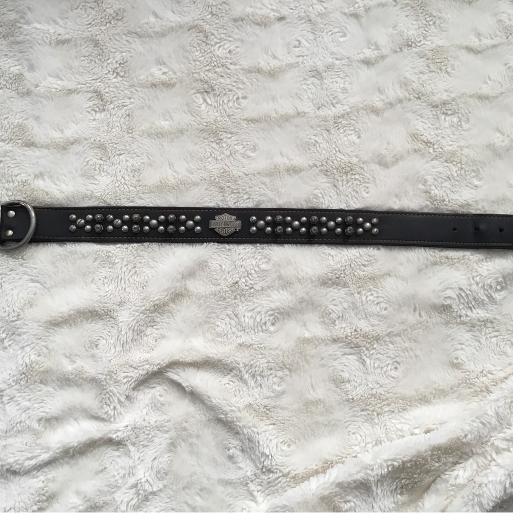 Harley Davidson dog collar